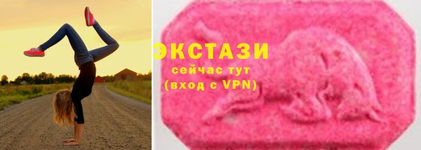 дмт Дмитровск