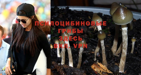 метадон Дмитриев