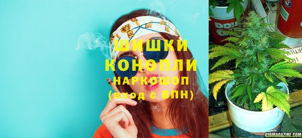 дмт Дмитровск