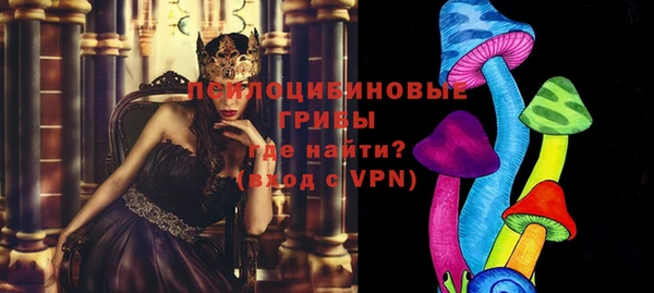 дмт Дмитровск