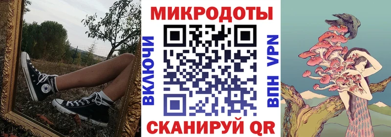 магазин продажи   Катайск  Галлюциногенные грибы Psilocybine cubensis 